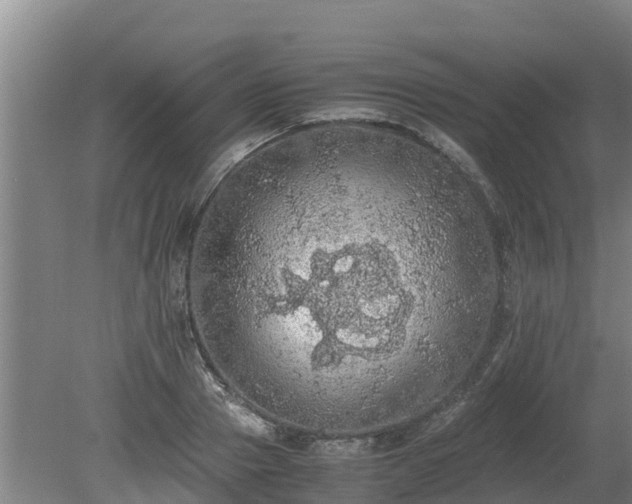 X0000080730937200612221249