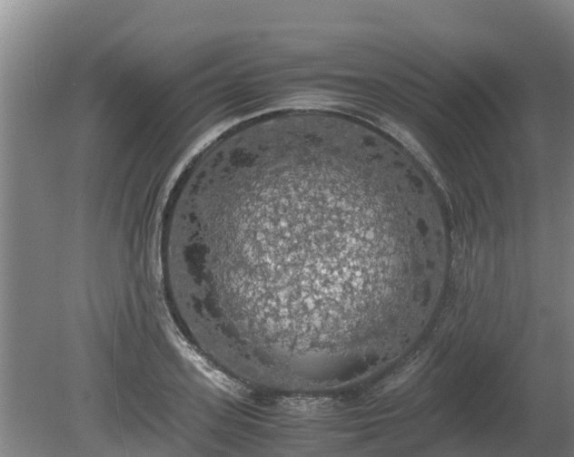 X0000080730939200612221249