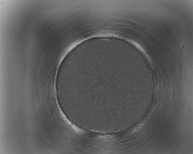 X0000080730943200612221249