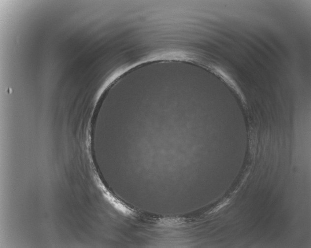 X0000080730944200612221249