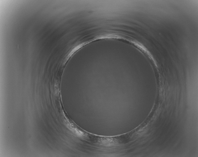 X0000080730945200612221249