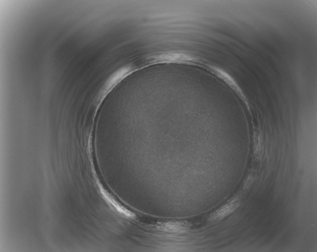 X0000080730946200612221249