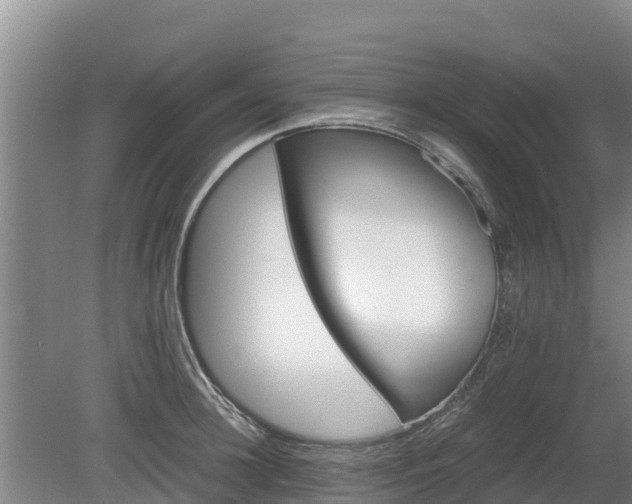 X0000080730948200612221249