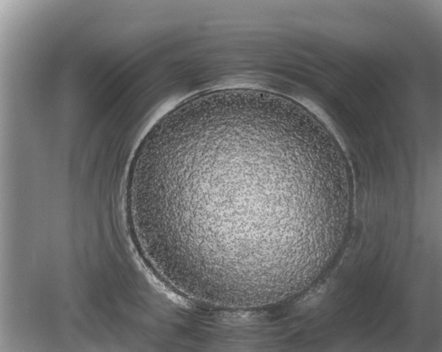 X0000080730949200612221249