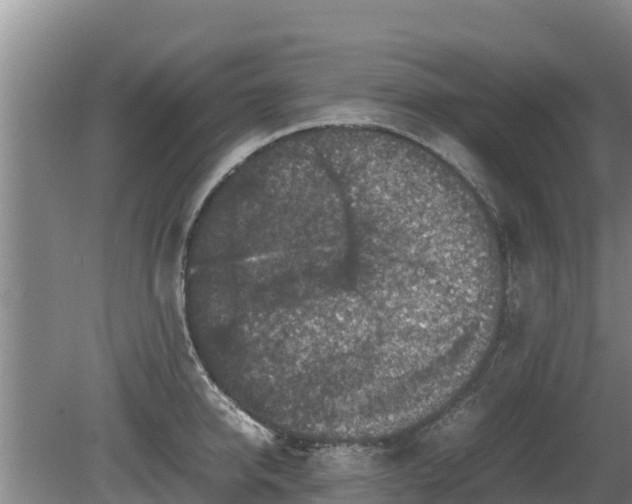 X0000080730950200612221249