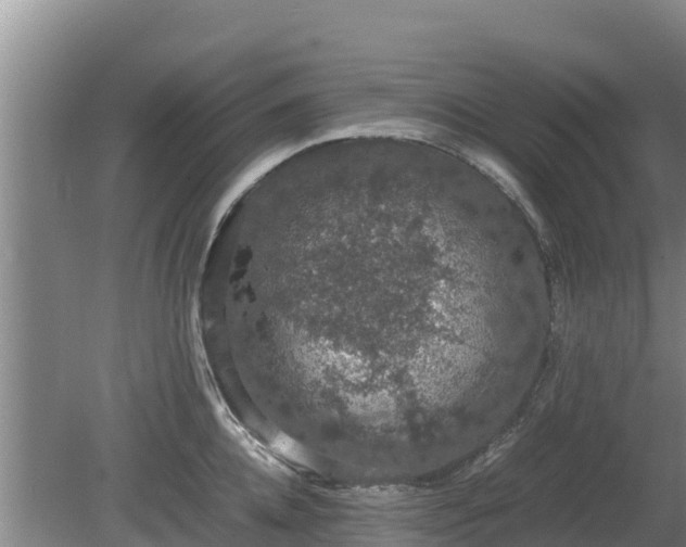 X0000080730952200612221249