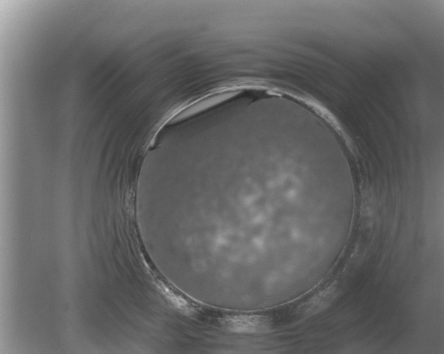 X0000080730953200612221249