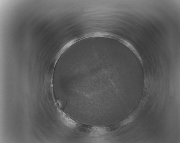 X0000080730954200612221249