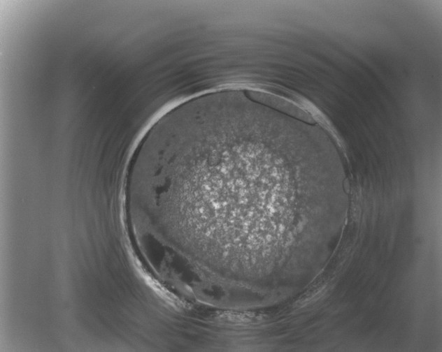 X0000080730955200612221249