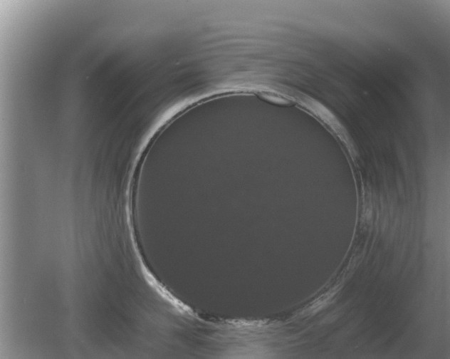 X0000080730958200612221249