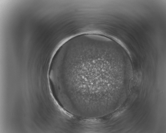 X0000080730959200612221249