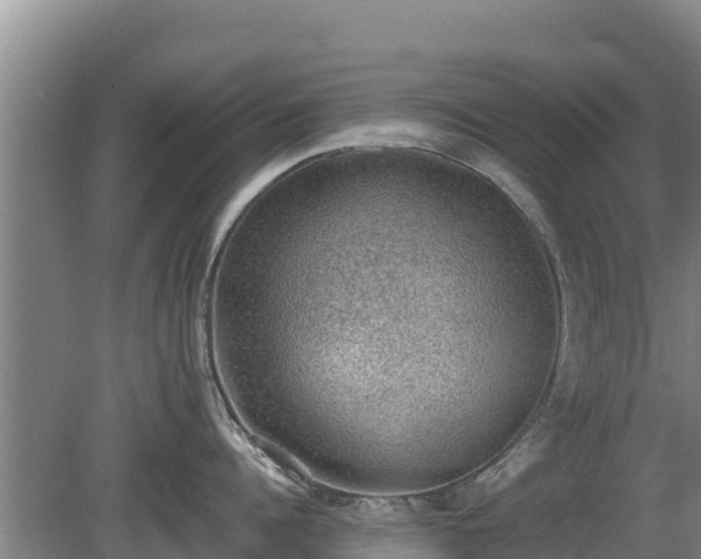 X0000080730960200612221249