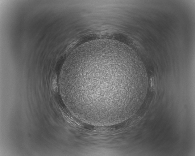 X0000080730963200612221249