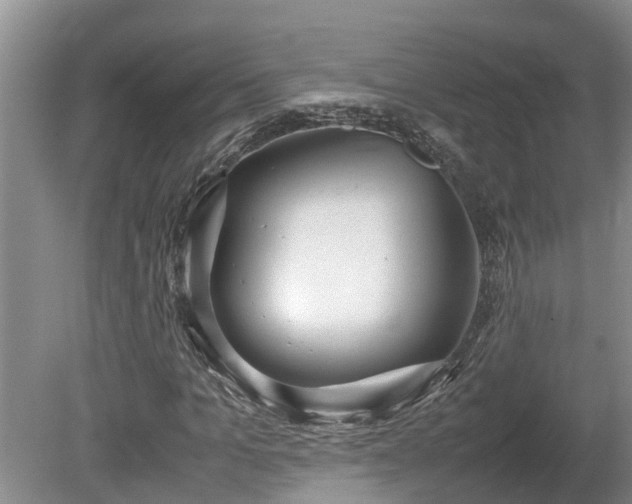 X0000080730965200612221249