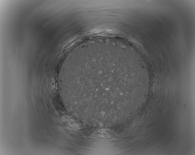 X0000080730966200612221249