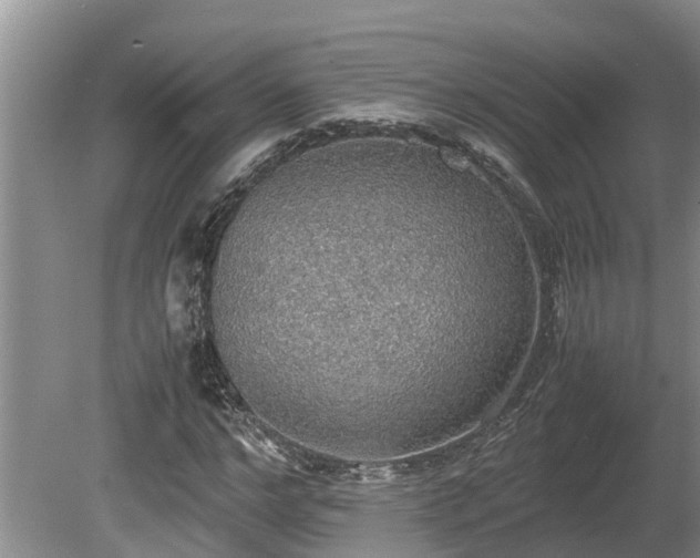 X0000080730968200612221249