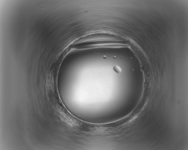 X0000080730969200612221249