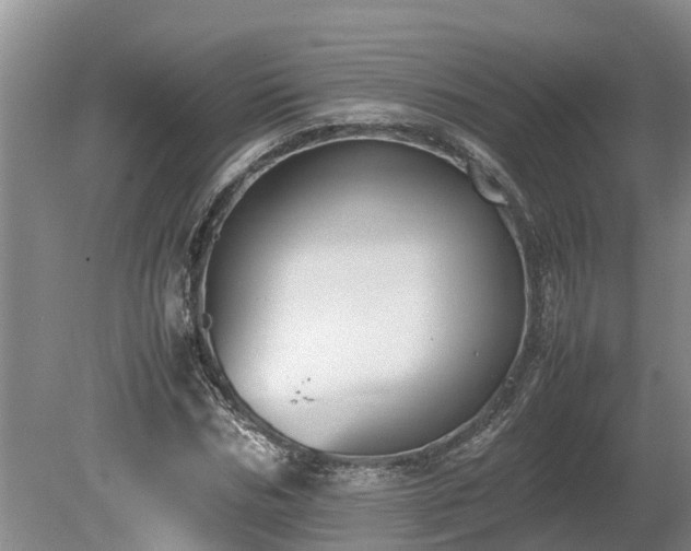 X0000080730970200612221248