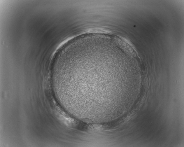 X0000080730971200612221248