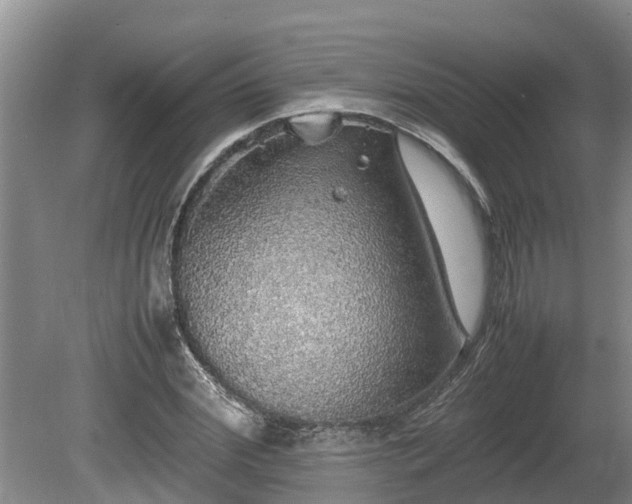 X0000080730972200612221248