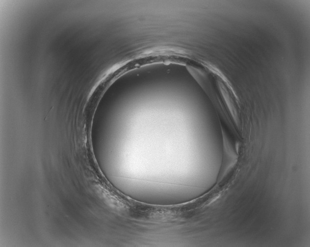 X0000080730973200612221248