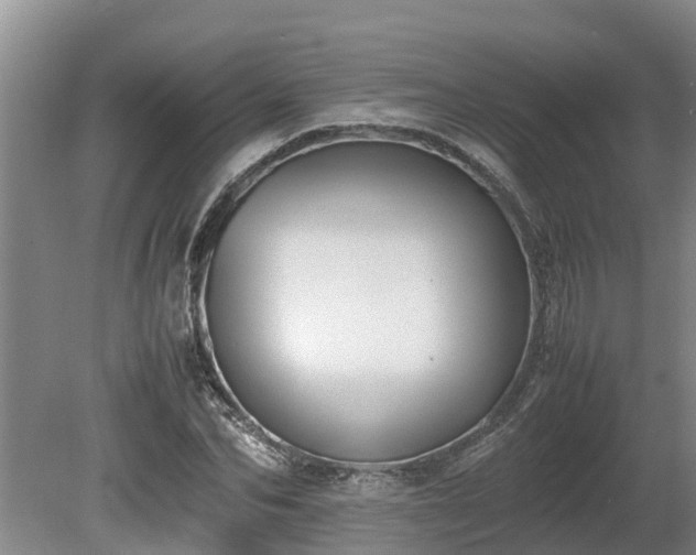 X0000080730974200612221248