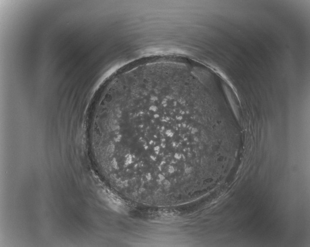 X0000080730975200612221248