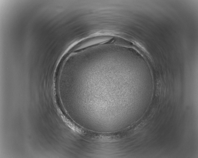 X0000080730976200612221248