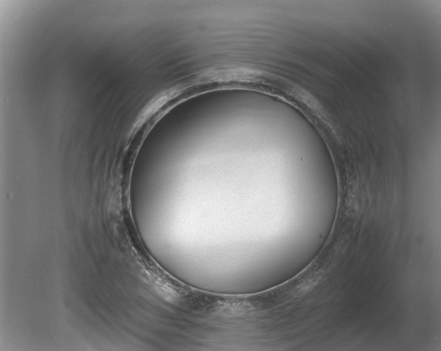 X0000080730978200612221248