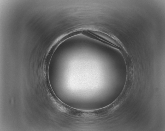 X0000080730981200612221248