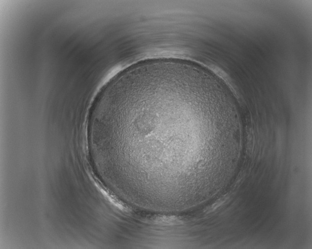 X0000080730982200612221248