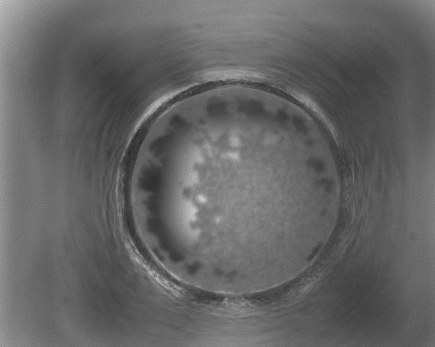 X0000080730983200612221248