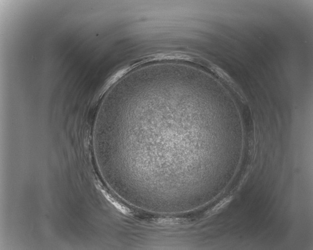 X0000080730985200612221248