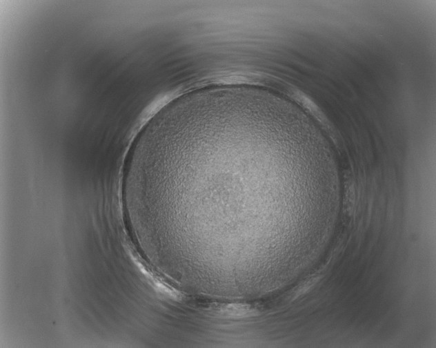 X0000080730986200612221248