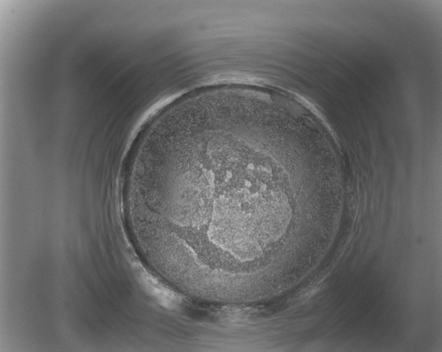 X0000080730987200612221248