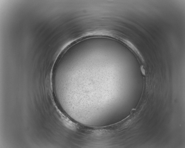 X0000080730988200612221248