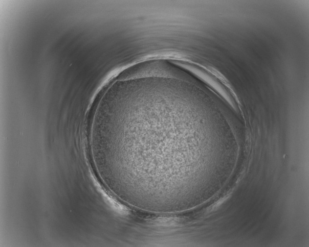 X0000080730989200612221248