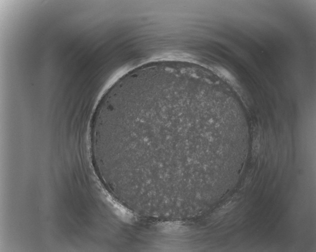 X0000080730990200612221248