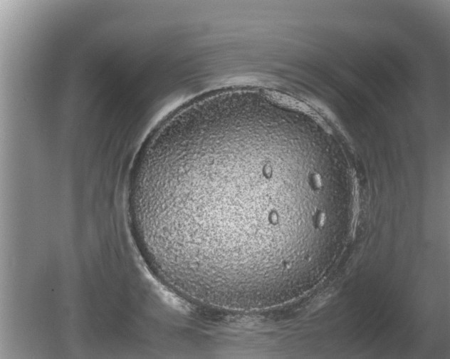 X0000080730991200612221248