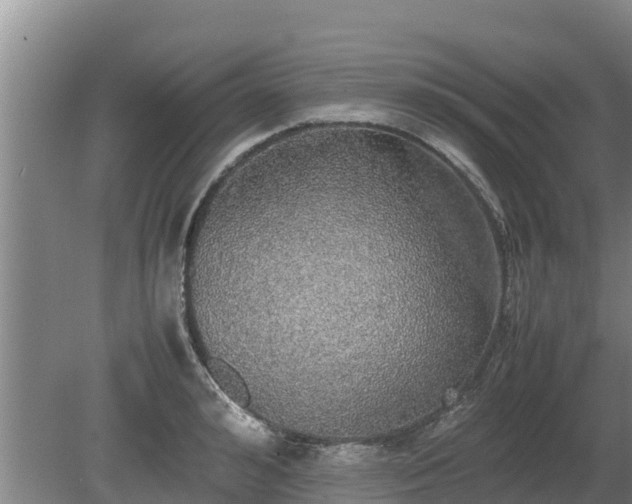 X0000080730992200612221248