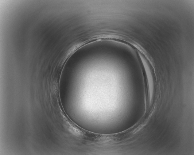 X0000080730993200612221248