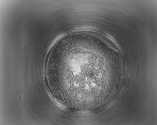 X0000080730994200612221248