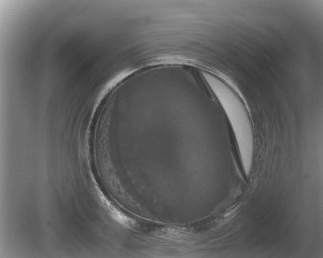 X0000080730995200612221248