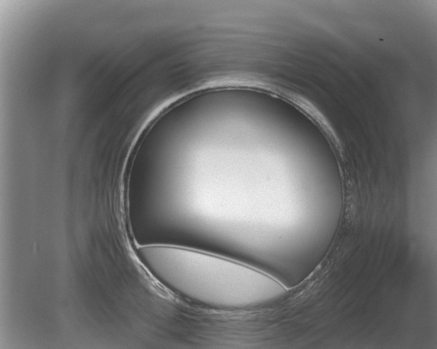 X0000080730996200612221248