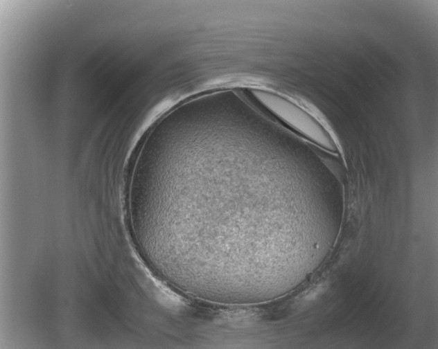 X0000080730997200612221248