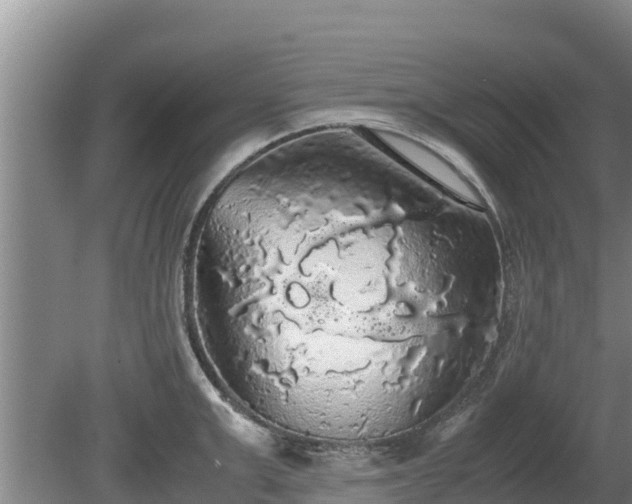 X0000080730999200612221248