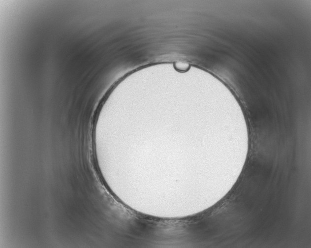 X0000080731000200612221248