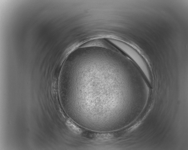 X0000080731001200612221248