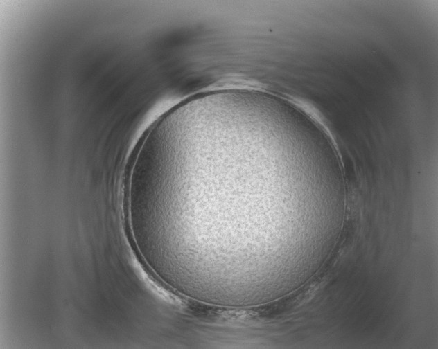 X0000080731003200612221248