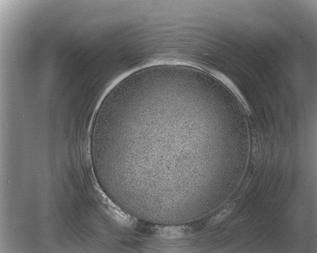 X0000080731004200612221248